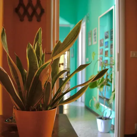 4321 Stazione Trastevere 招待所 *